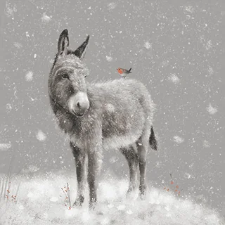 Donkey's First Snow