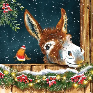 A Donkey's Christmas Wonder