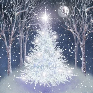 Sparkling Christmas Wishes