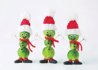 Sprouting About