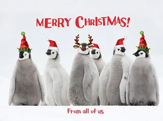 Party Penguins
