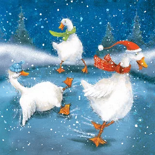 Skating Ducks