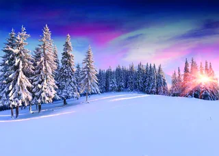 An Aurora Night Sky