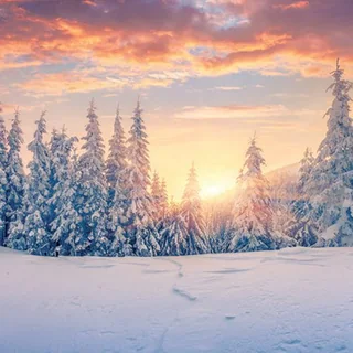 Winter Sunrise