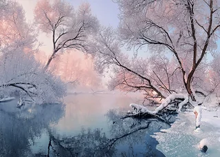 Frozen Serenity