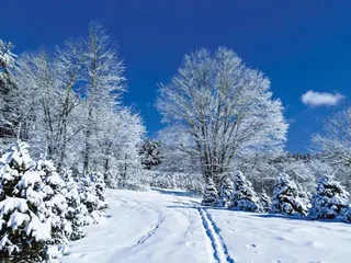 A Winter's Day