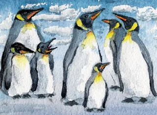 Penguins