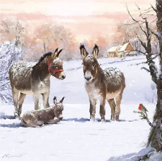 Donkeys in the Snow