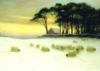 Winter Glow